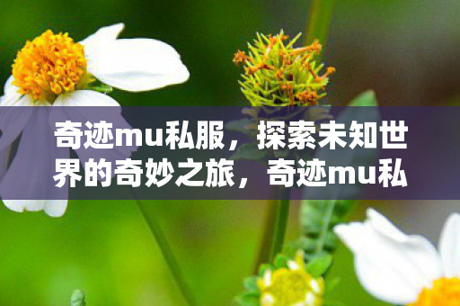 开启探索未知世界的奇妙之旅图片