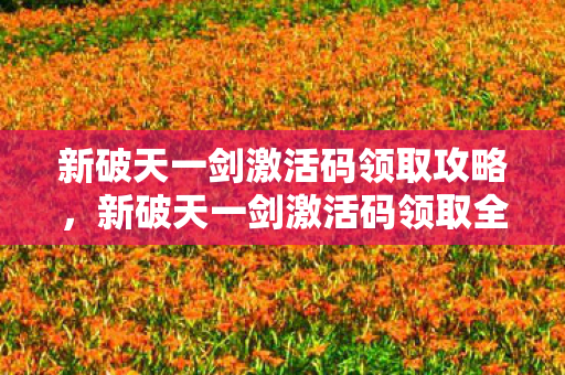 新破天一剑激活码领取攻略,新破天一剑激活码领取全攻略 新破天一剑激活码领取攻略,新破天一剑激活码领取全攻略