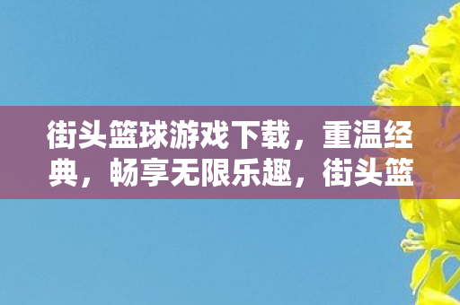 街头篮球游戏下载图片