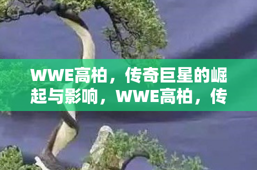 传奇巨星的崛起与影响图片