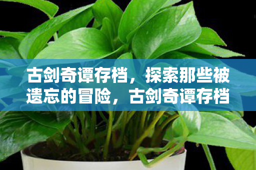 探索那些被遗忘的冒险图片