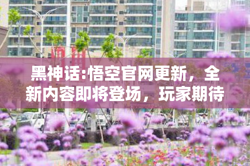 黑神话:悟空官网更新，全新内容即将登场，玩家期待再升级，黑神话:悟空官网更新，全新内容即将登场