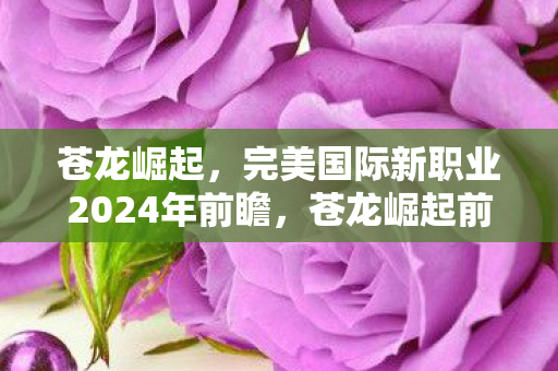 完美国际新职业2024年即将登场图片