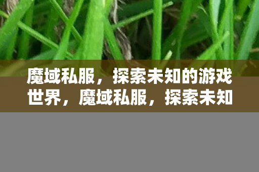 探索未知的游戏世界图片