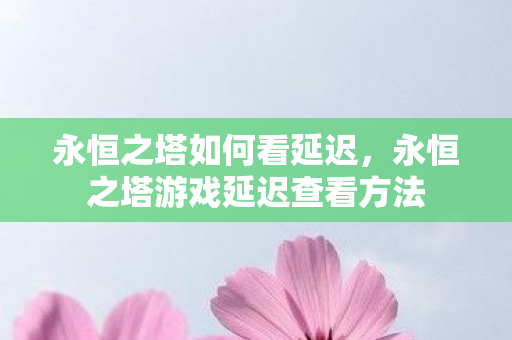 永恒之塔游戏延迟查看方法图片