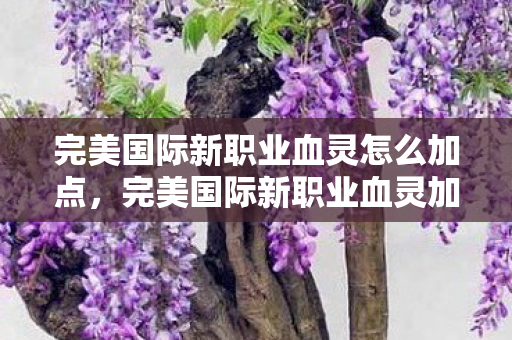 完美国际新职业血灵怎么加点图片