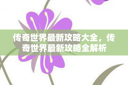 传奇世界最新攻略全解析图片