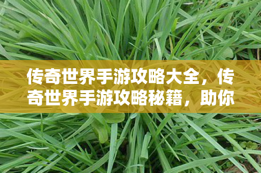 传奇世界手游攻略大全图片