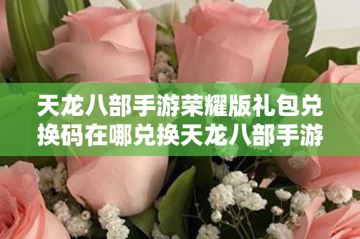 天龙八部手游荣耀版礼包兑换码在哪兑换天龙八部手游荣耀版礼包兑换码图片
