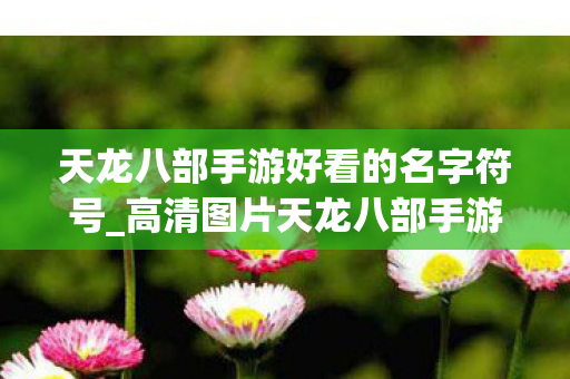 天龙八部手游独特美观角色名字符号推荐图片