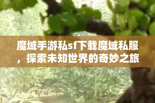 魔域手游私sf下载魔域私服图片