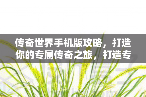 打造你的专属传奇之旅图片