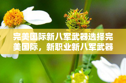 完美国际新八军武器选择完美国际图片