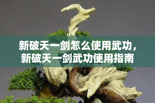 新破天一剑怎么使用武功,新破天一剑武功使用指南 新破天一剑怎么使用武功,新破天一剑武功使用指南
