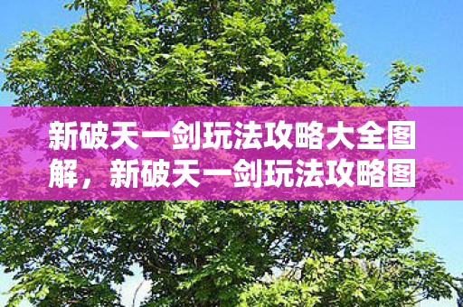 新破天一剑玩法攻略大全图解，新破天一剑玩法攻略图解