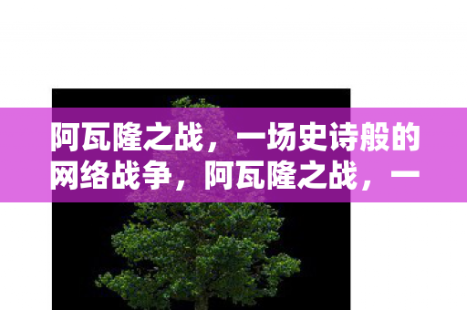 一场震撼人心的网络战争图片