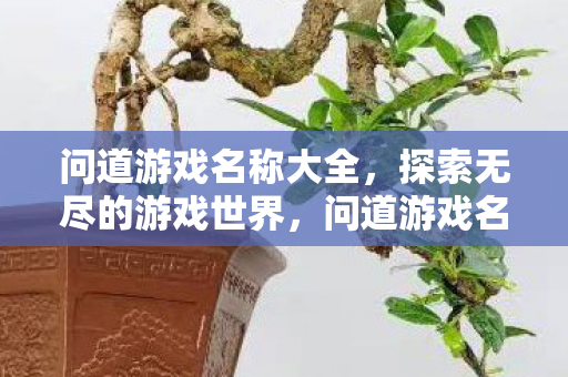 问道游戏名称大全,探索无尽的游戏世界,问道游戏名字大全,探索无限可能的游戏世界 问道游戏名称大全,探索无尽的游戏世界,问道游戏名字大全,探索无限可能的游戏世界