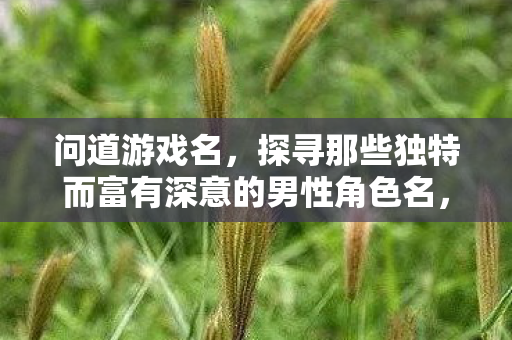 问道游戏名，探寻那些独特而富有深意的男性角色名，探寻问道游戏中独特而富有深意的男性角色名