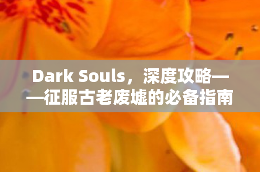 Dark Souls,深度攻略——征服古老废墟的必备指南,征服古老废墟,Dark Souls深度攻略全解析 Dark Souls,深度攻略——征服古老废墟的必备指南,征服古老废墟,Dark Souls深度攻略全解析