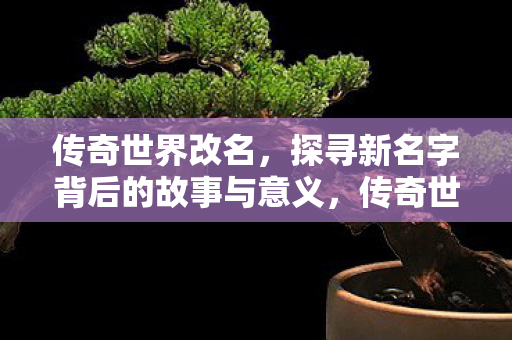传奇世界改名背后的故事与意义图片