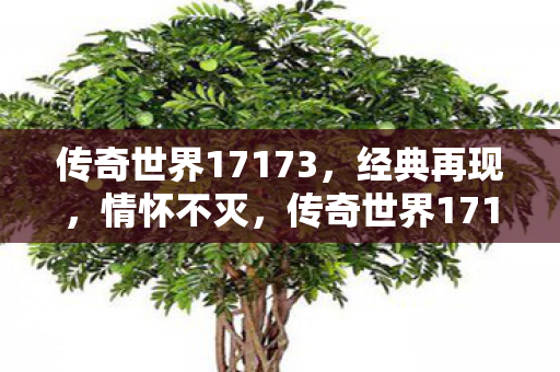 传奇世界17173图片