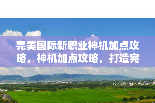 完美国际新职业神机加点攻略图片