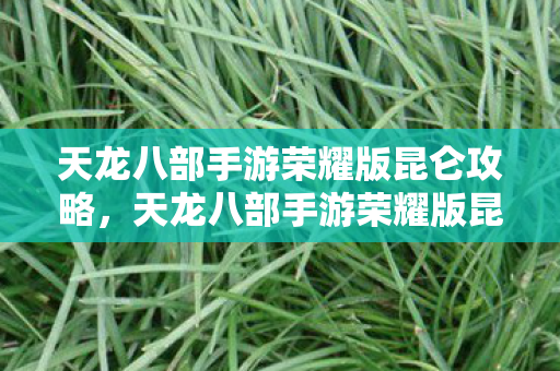天龙八部手游荣耀版昆仑攻略图片