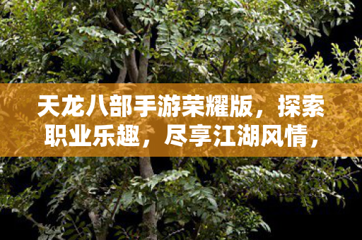 天龙八部手游荣耀版图片