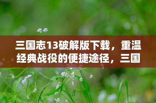 重温经典战役的便捷途径图片