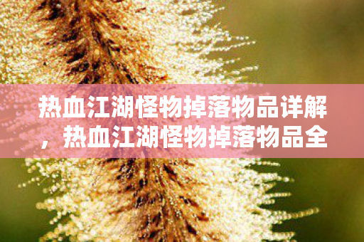 热血江湖怪物掉落物品详解,热血江湖怪物掉落物品全解析 热血江湖怪物掉落物品详解,热血江湖怪物掉落物品全解析