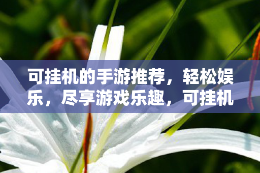 可挂机的手游推荐，轻松娱乐，尽享游戏乐趣，可挂机的手游推荐，轻松娱乐，尽享游戏乐趣