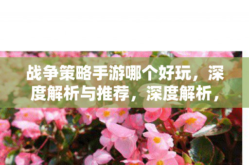 战争策略手游哪个好玩,深度解析与推荐,深度解析,战争策略手游哪个好玩? 战争策略手游哪个好玩,深度解析与推荐,深度解析,战争策略手游哪个好玩?