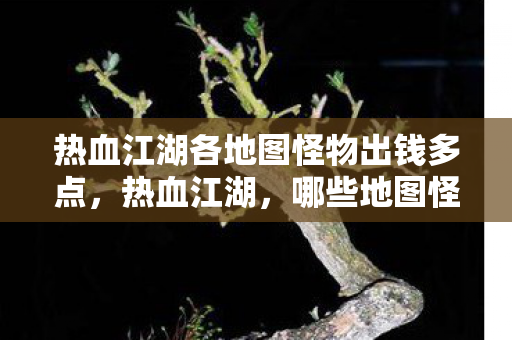 热血江湖各地图怪物出钱多点,热血江湖,哪些地图怪物掉落更多金币? 热血江湖各地图怪物出钱多点,热血江湖,哪些地图怪物掉落更多金币?
