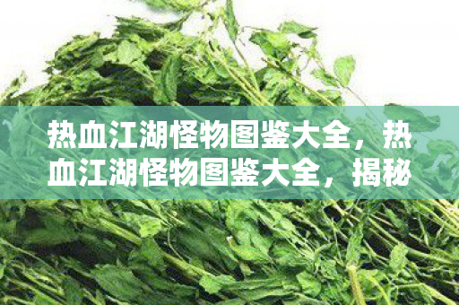 热血江湖怪物图鉴大全,热血江湖怪物图鉴大全,揭秘江湖中的神秘生物 热血江湖怪物图鉴大全,热血江湖怪物图鉴大全,揭秘江湖中的神秘生物