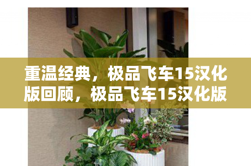极品飞车15汉化版回顾图片