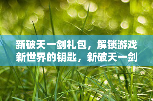 新破天一剑礼包，解锁游戏新世界的钥匙，新破天一剑礼包，解锁游戏新世界，尽享无限乐趣！