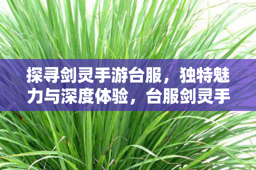 探寻剑灵手游台服,独特魅力与深度体验,台服剑灵手游,独特魅力与深度体验之旅 探寻剑灵手游台服,独特魅力与深度体验,台服剑灵手游,独特魅力与深度体验之旅