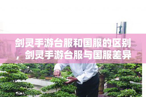 剑灵手游台服和国服的区别,剑灵手游台服与国服差异解析 剑灵手游台服和国服的区别,剑灵手游台服与国服差异解析