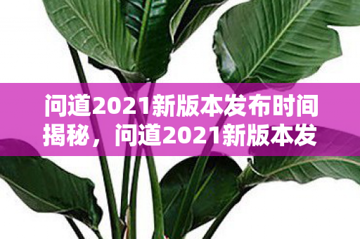 问道2021新版本发布时间揭秘，问道2021新版本发布时间揭晓