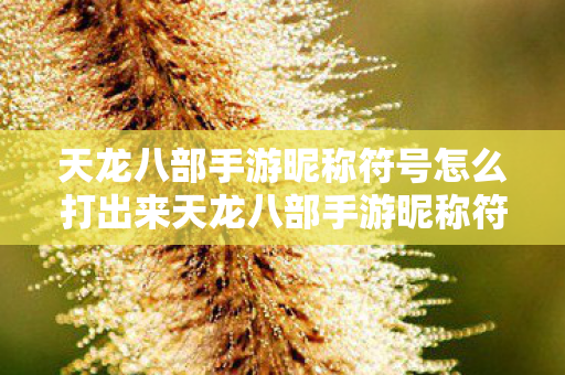 天龙八部手游昵称符号怎么打出来天龙八部手游昵称符号打造指南图片