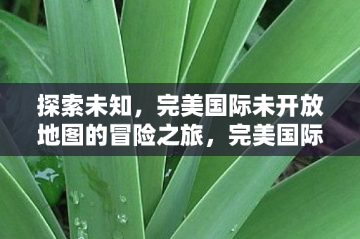 完美国际未开放地图的冒险之旅图片