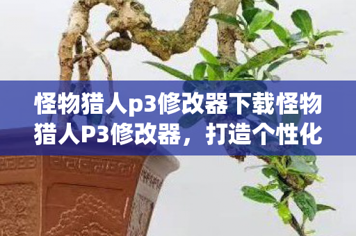 怪物猎人p3修改器下载怪物猎人P3修改器，打造个性化游戏体验的利器，怪物猎人P3修改器，打造个性化游戏体验的利器