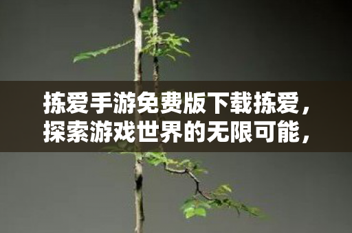 拣爱手游免费版下载拣爱图片