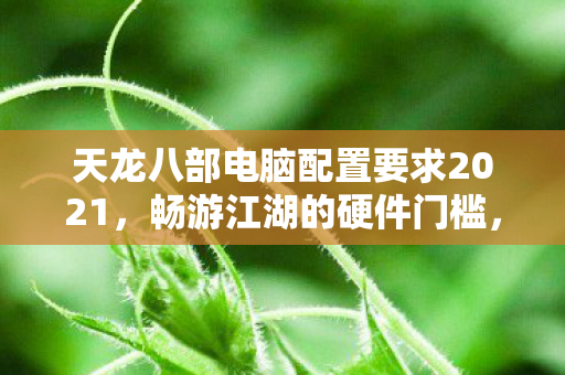 天龙八部电脑配置要求2021图片