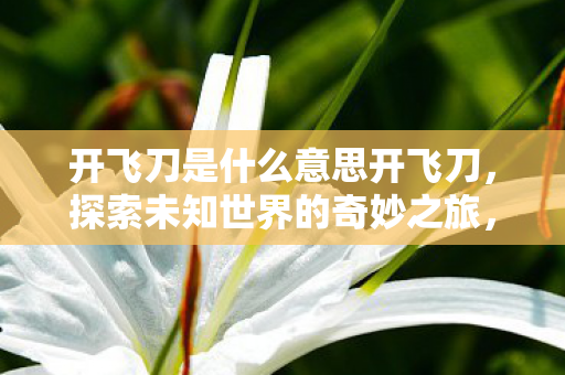 开飞刀是什么意思开飞刀图片
