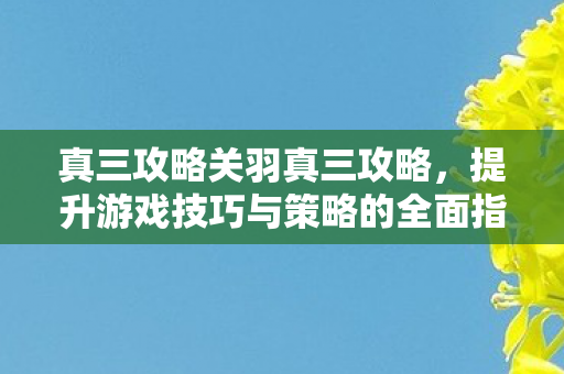 真三攻略关羽真三攻略,提升游戏技巧与策略的全面指南,真三攻略关羽篇,提升游戏技巧与策略的全面指南 真三攻略关羽真三攻略,提升游戏技巧与策略的全面指南,真三攻略关羽篇,提升游戏技巧与策略的全面指南
