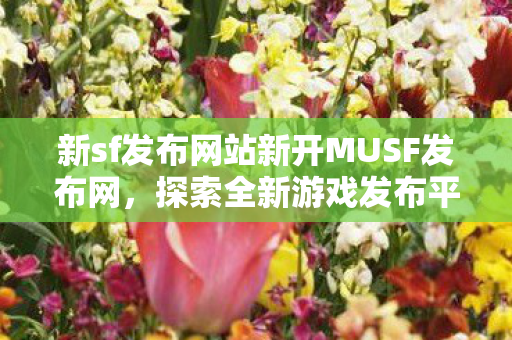 新sf发布网站新开MUSF发布网图片