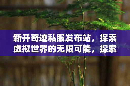 新开奇迹私服发布站等你来体验图片