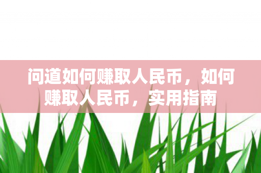 问道如何赚取人民币，如何赚取人民币，实用指南