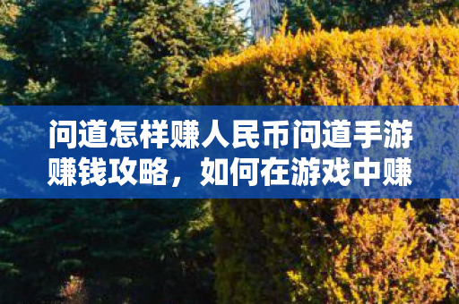 问道怎样赚人民币问道手游赚钱攻略，如何在游戏中赚取人民币，问道手游赚钱攻略，如何在游戏中赚取人民币